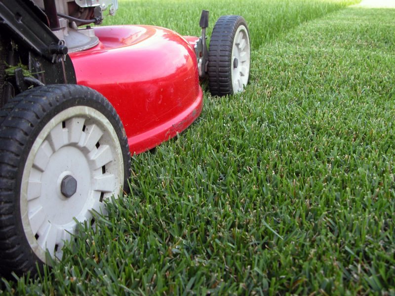 Colorado bans use of gas-powered lawn equipment by state agencies starting 2025 [Video]