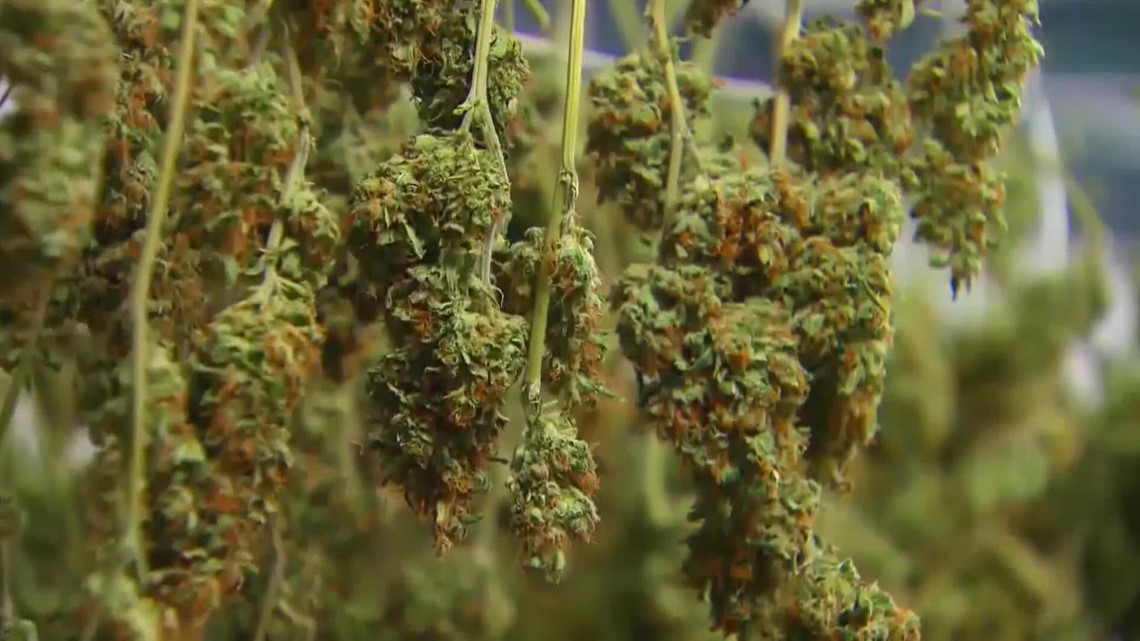 Montgomery Co. to use weed tax revenue for community programs [Video]