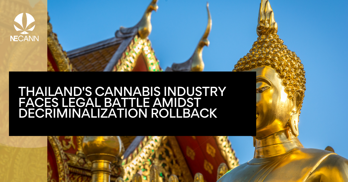 Thailand’s Cannabis Industry Faces Legal Battle [Video]
