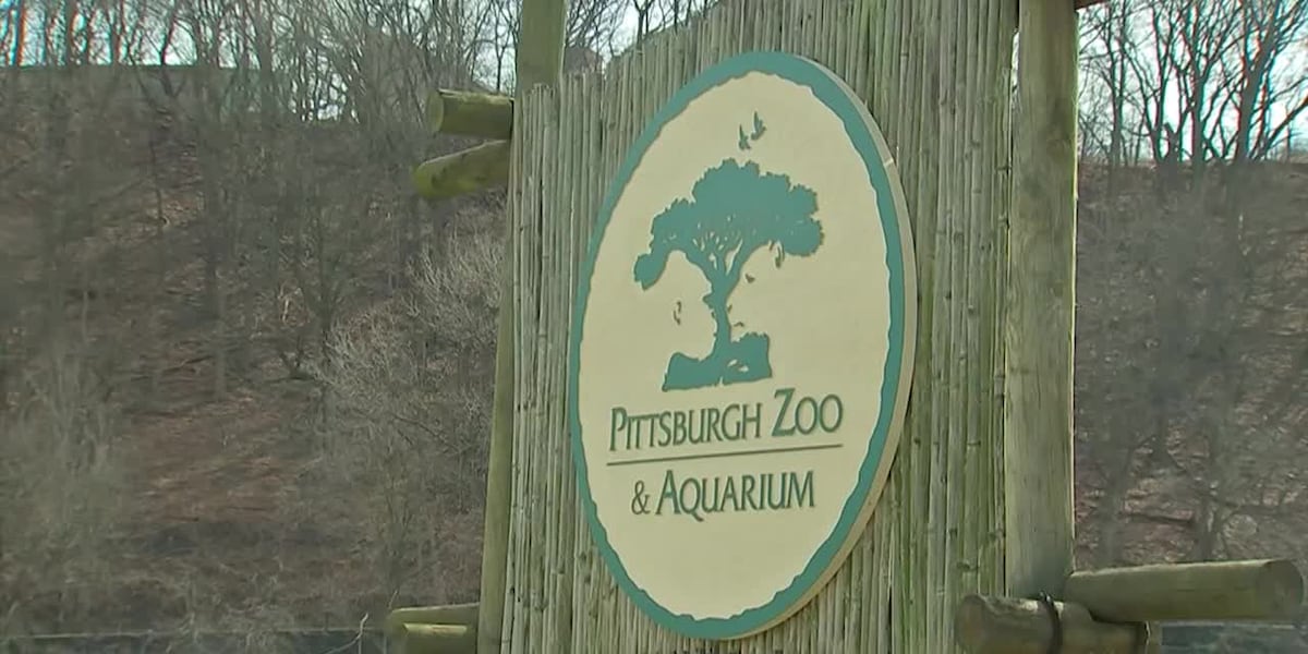 Elephant, sea lion, and gorilla die in less than 1 month at Pittsburgh Zoo [Video]
