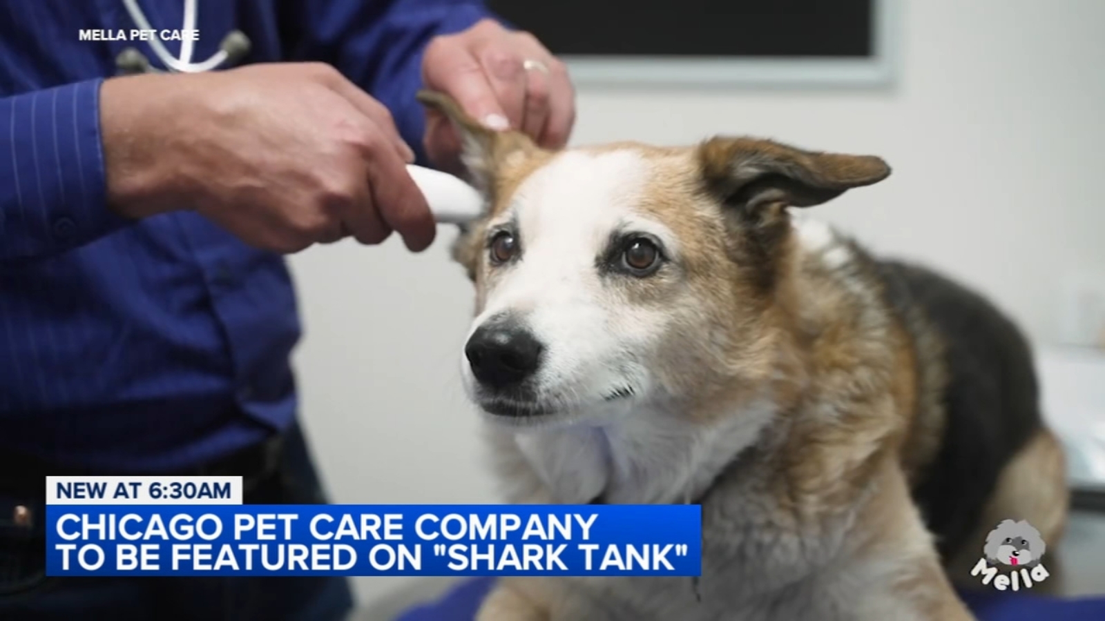Chicago pet care company Mella to be featured on ‘Shark Tank’ [Video]