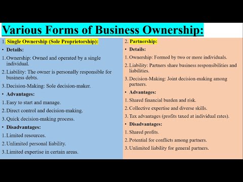 Main types of business ownership, Forms of retail business ownership, Types of business ownership [Video]