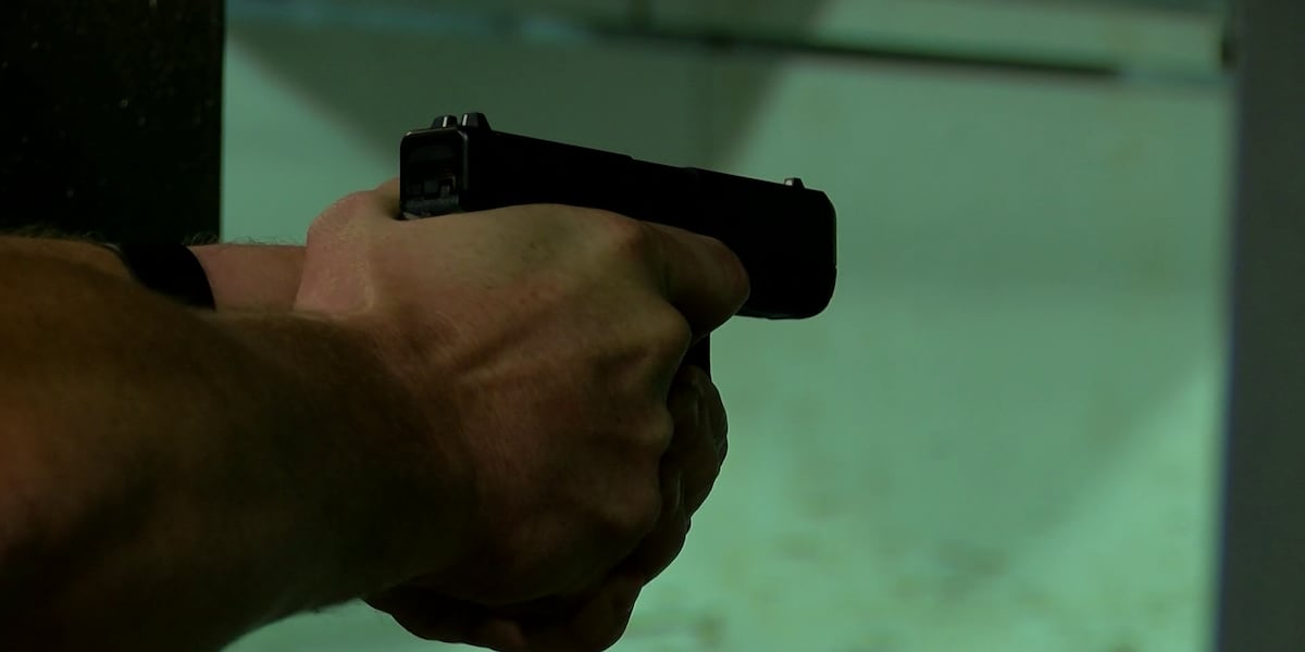 TN House passes proposal to require firearm safety courses in schools [Video]
