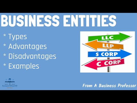 7 Most Common Types of Business Entities | From A Business Professor [Video]