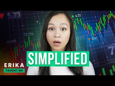 Investing in the Stock Market Explained: A Guide For Beginners [Video]