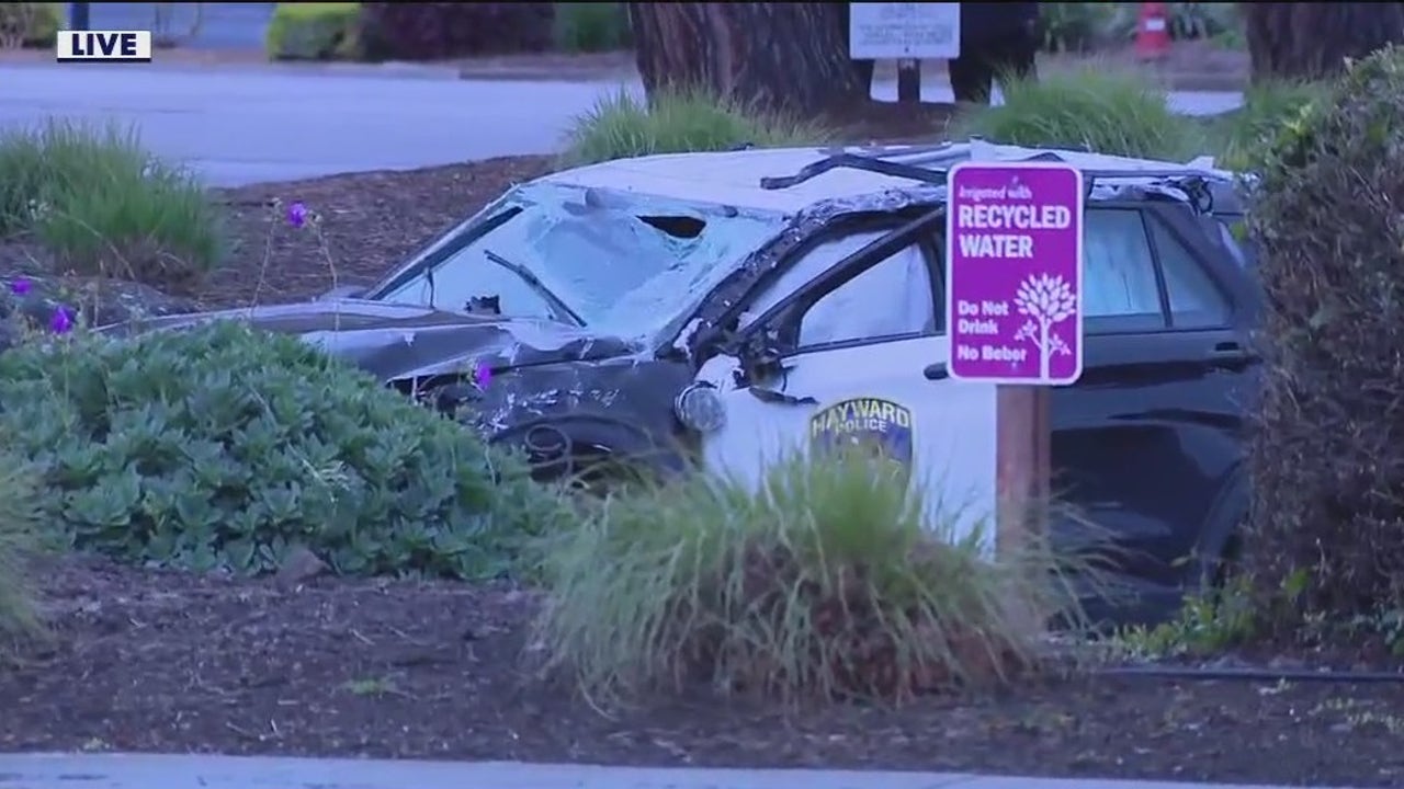 Burglary at illegal pot grow leads to police pursuit, crash in Hayward [Video]