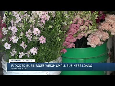 Flooded businesses in San Diego County weigh SBA loans [Video]