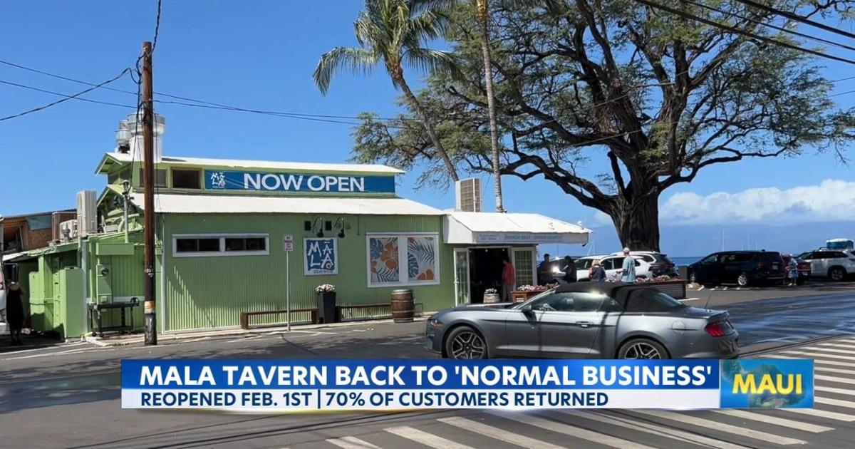 Mala Ocean Tavern in Lahaina back open for business as West Maui tourism rebounds | News [Video]