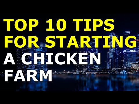 Starting a Chicken Farm Business Tips | Free Chicken Farm Business Plan Template Included [Video]