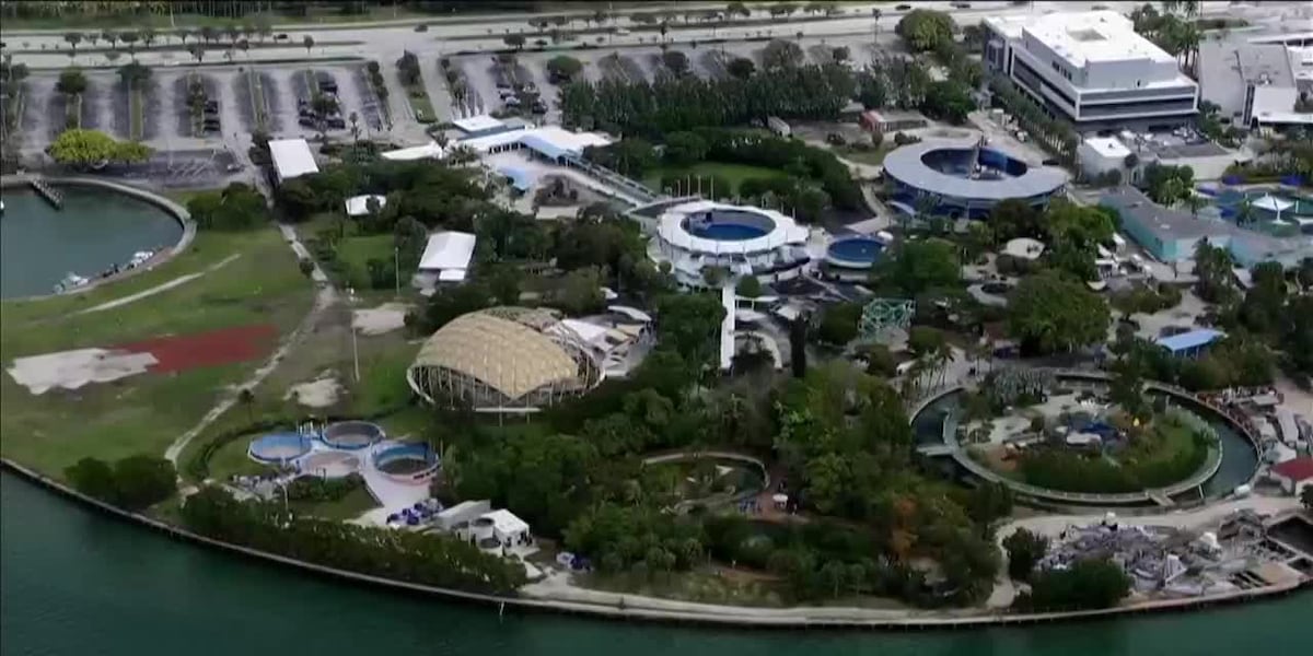 Miami Seaquarium lease terminated [Video]
