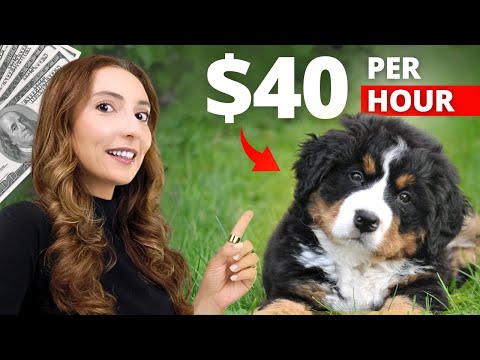 Top 5 Side Hustles Anyone Can Start for Free (& I’m Paying For) [Video]