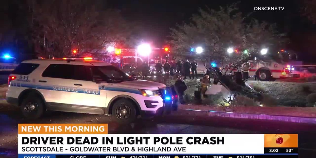 Driver dies after vehicle hits light pole in Scottsdale [Video]