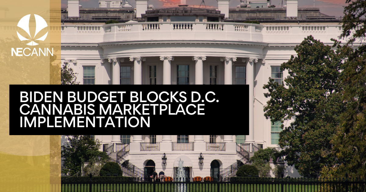 Biden Budget Blocks D.C. Cannabis Market [Video]