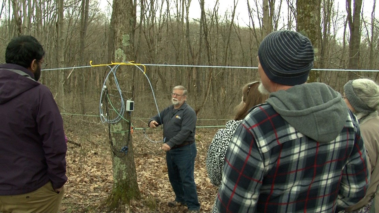 West Virginia taps into the maple industry [Video]