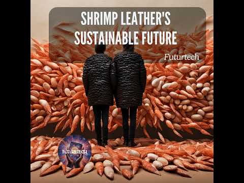 Shrimp Leather for a Sustainable Future [Video]