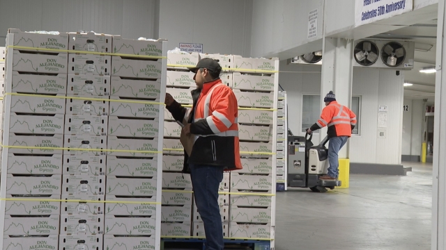 Business leaders say immigration troubles hurt legal border trade [Video]