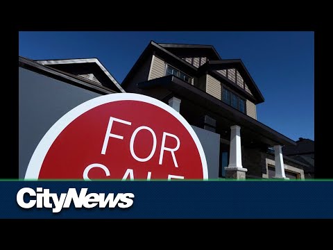 Business Report: The start of a Canadian real estate rebound? [Video]
