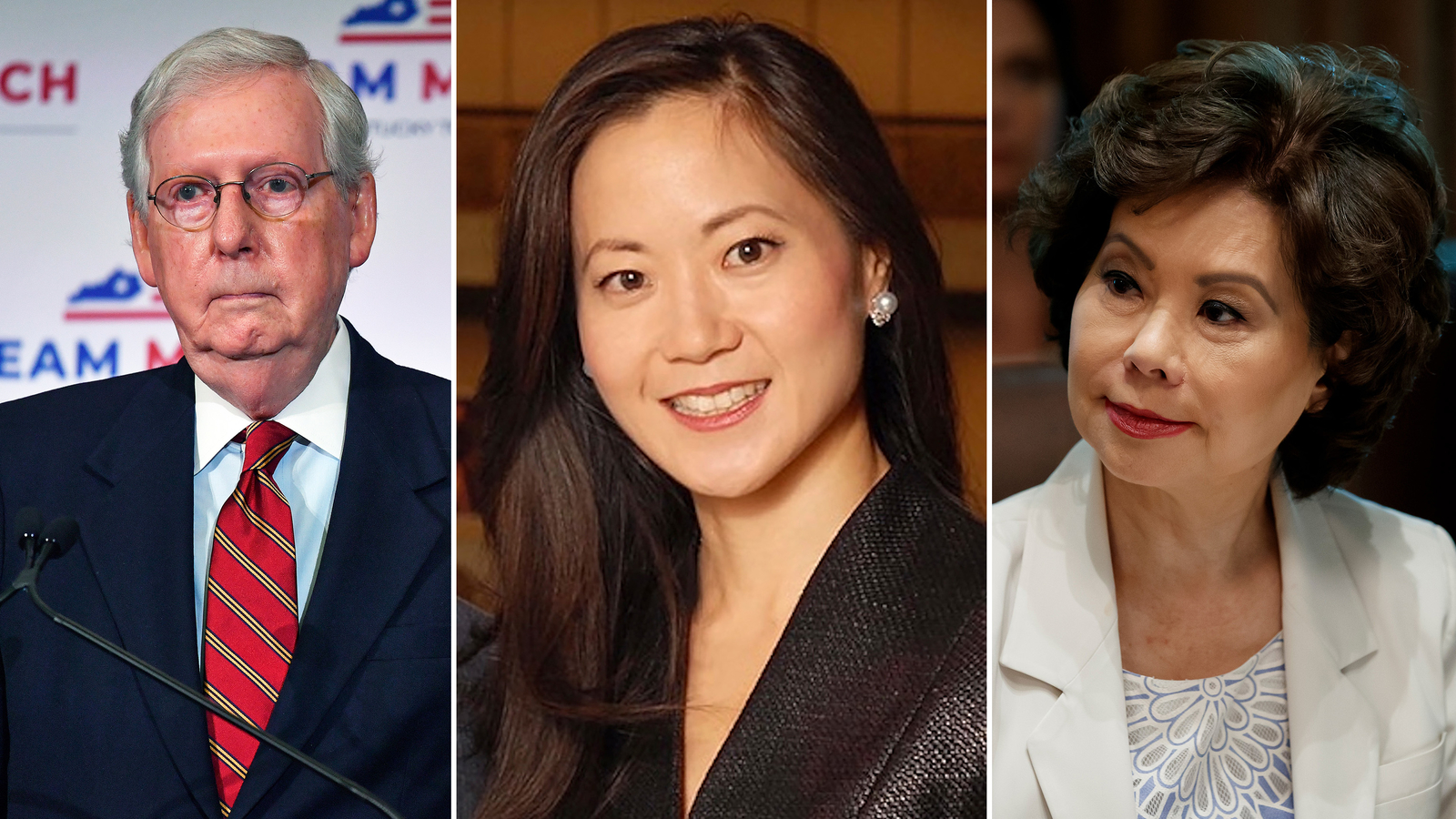 Angela Chao death: Sister-in-law to Senate Minority Leader Mitch McConnell was drunk when she drove into pond and died, police say [Video]
