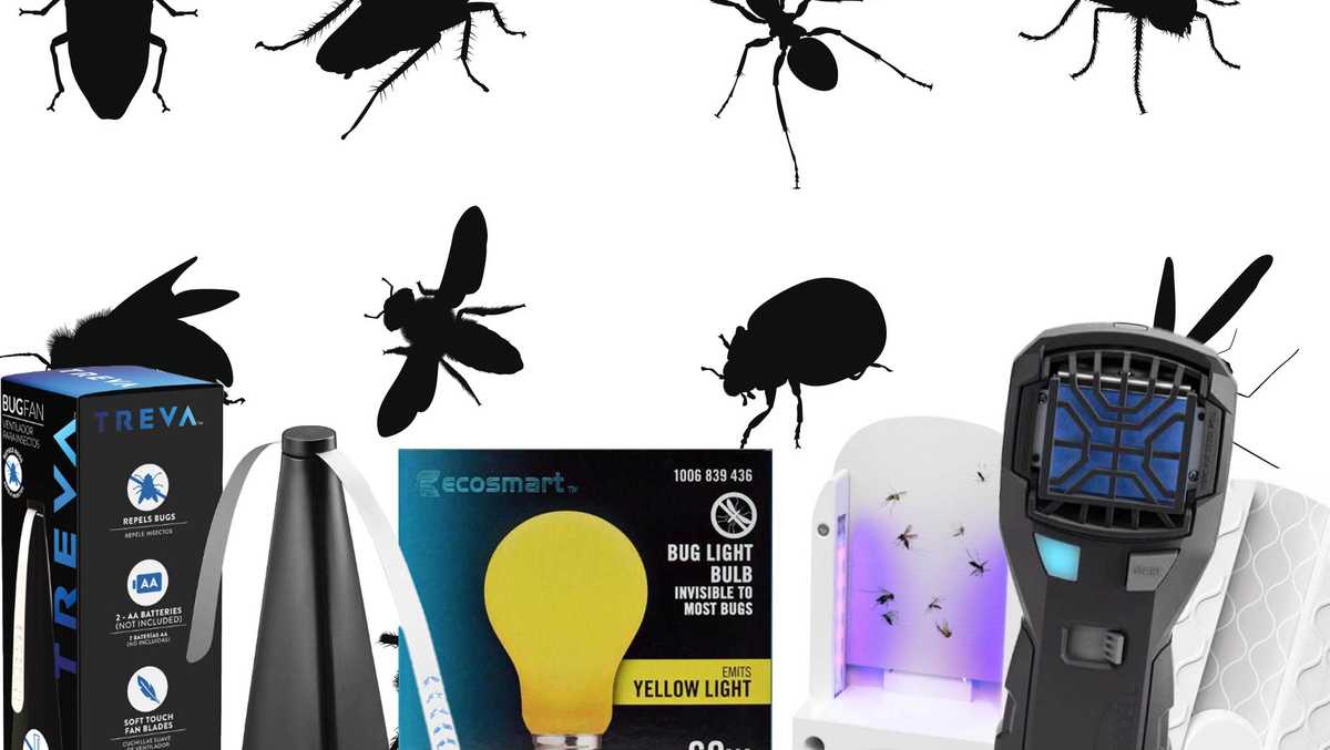 Bug-proof your home with these gadgets we found online [Video]