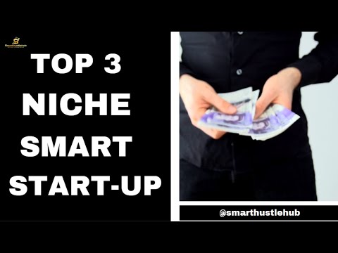 TOP 3 NICHE STARTUP IDEAS [Video]