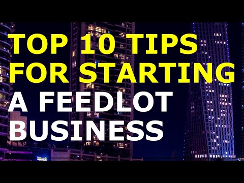 How to Start a Feedlot Business | Free Feedlot Business Plan Template Included [Video]