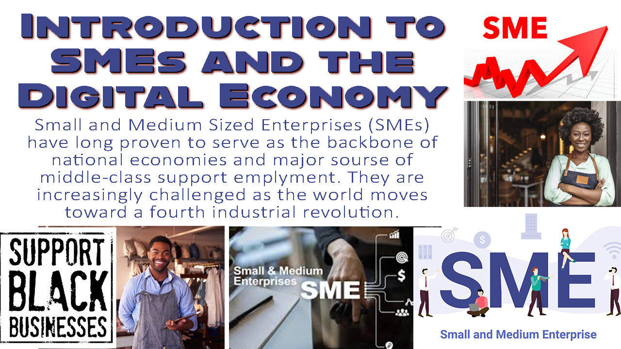 Introduction to SMEs and the Digital Economy [Video]