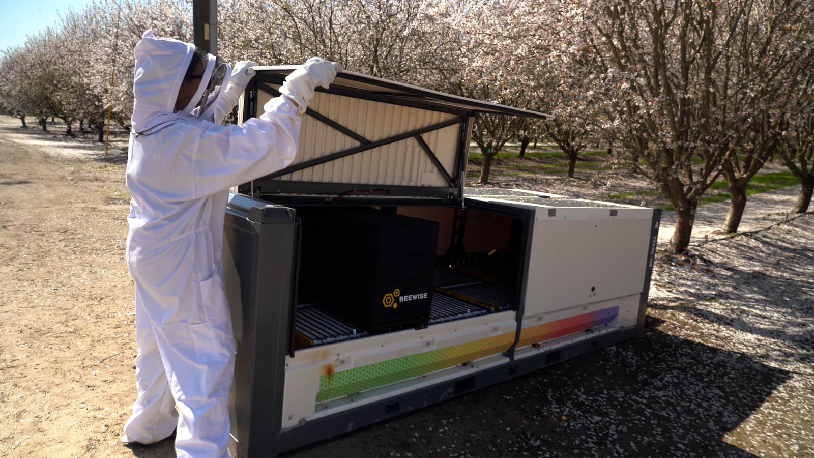 New tech to save the bees [Video]