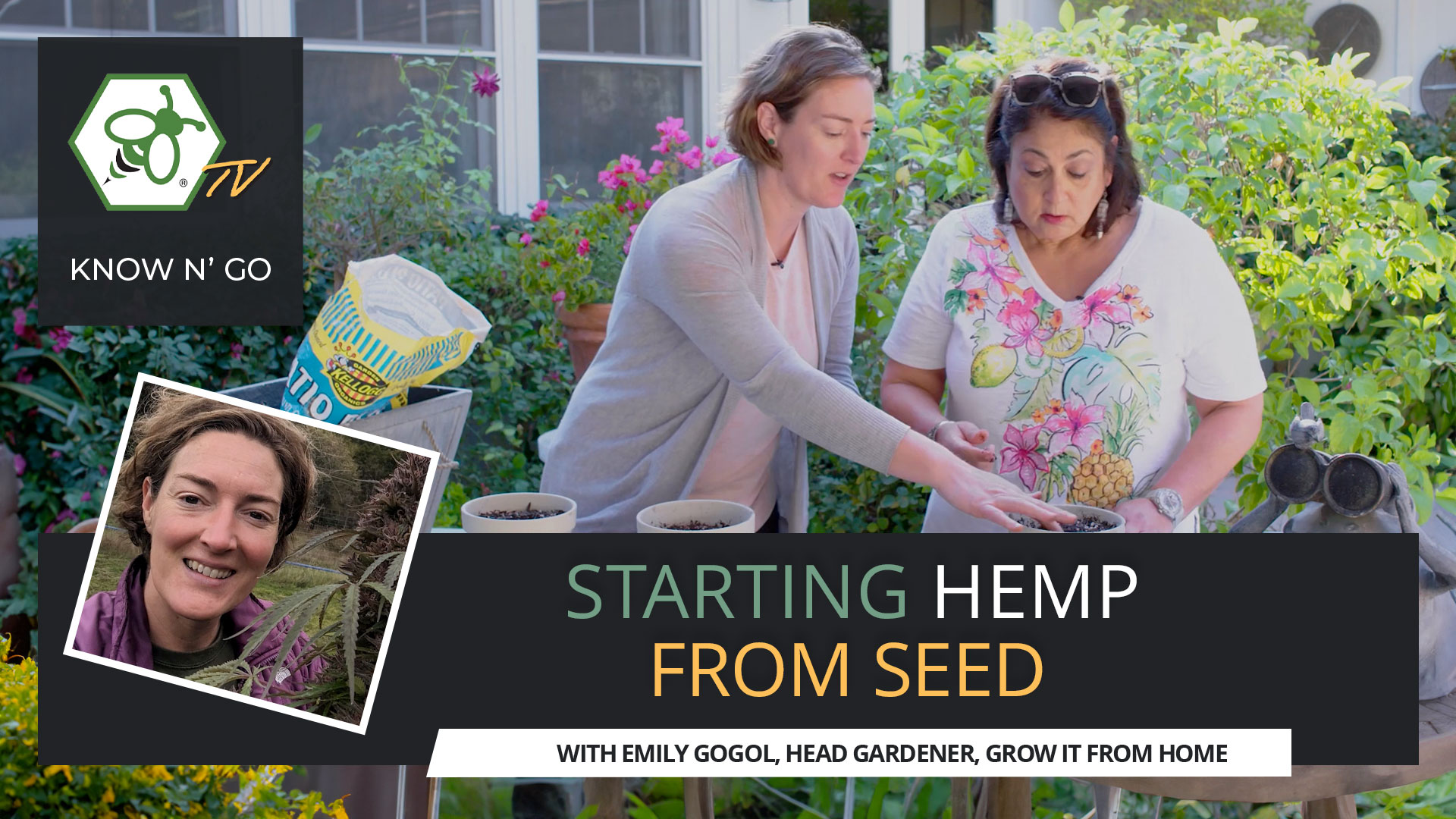 Ultimate Guide to Starting Hemp From Seed [Video]