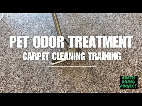 Starting a Carpet Cleaning Business – Ride Along [Video]