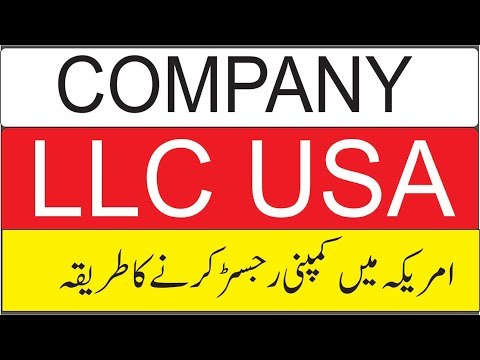 How To File LLC in USA | USA Company Formation Method [Video]