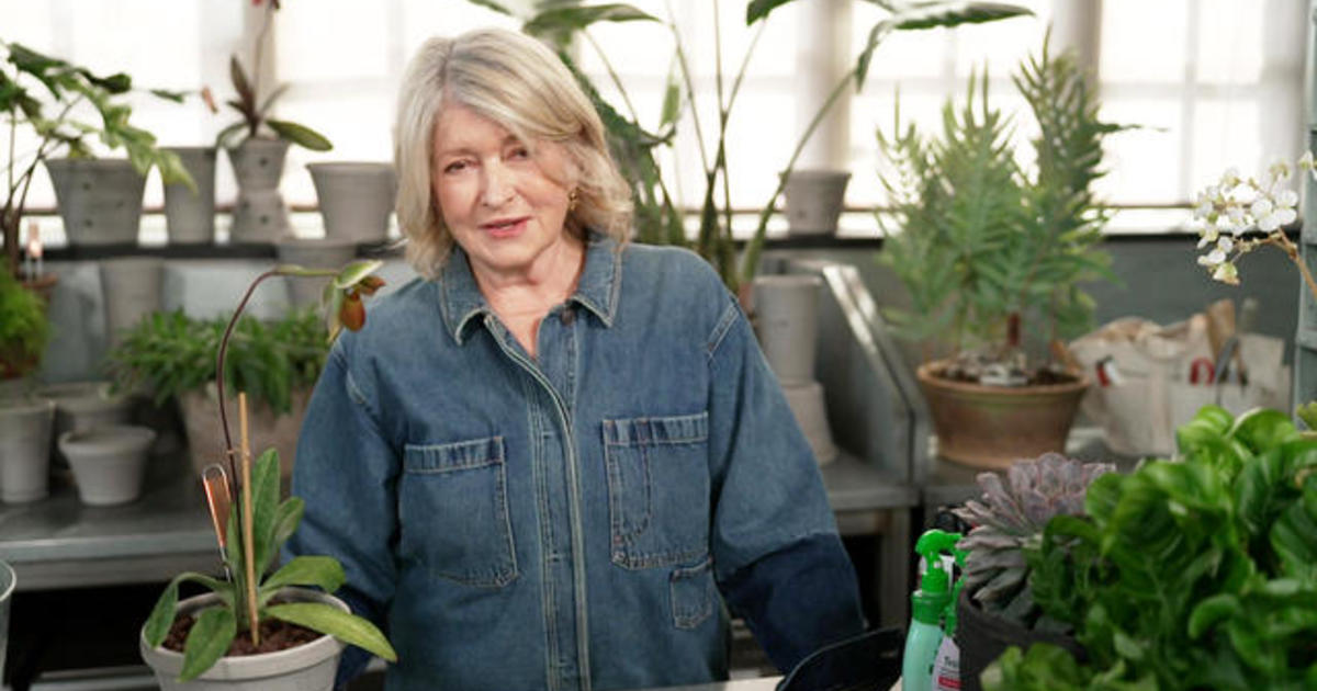 Martha Stewart on keeping houseplants [Video]