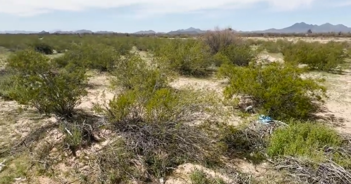 OFF LIMITS: PCSD prohibiting access to desert area near Avra Valley [Video]