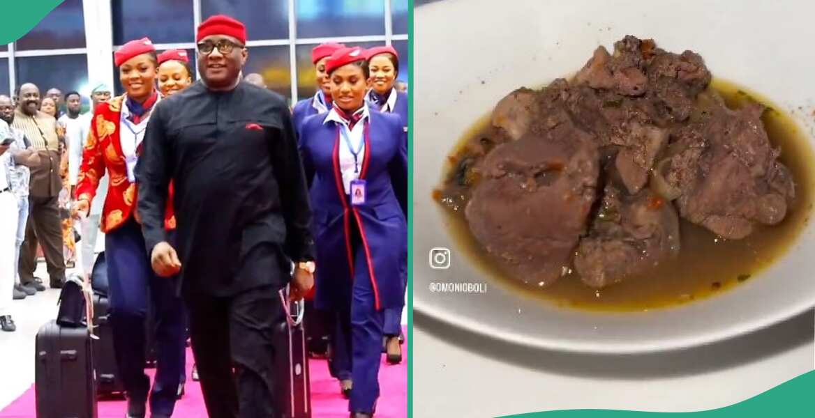 “Goat Meat”: Man Reacts to Food Served on Air Peace International Flight, Hatches Funny Plan [Video]