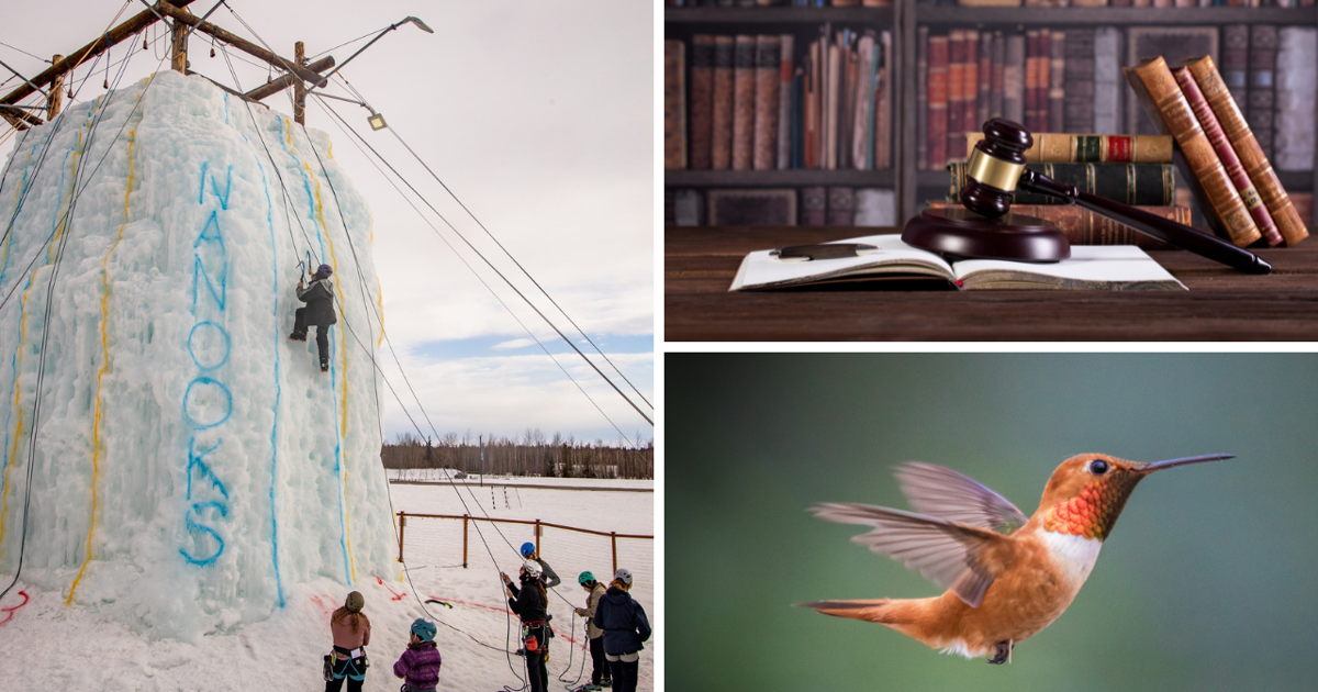 AROUND ALASKA: New Law School, Ice Jam, and Hummingbird Festival! | Around Alaska [Video]