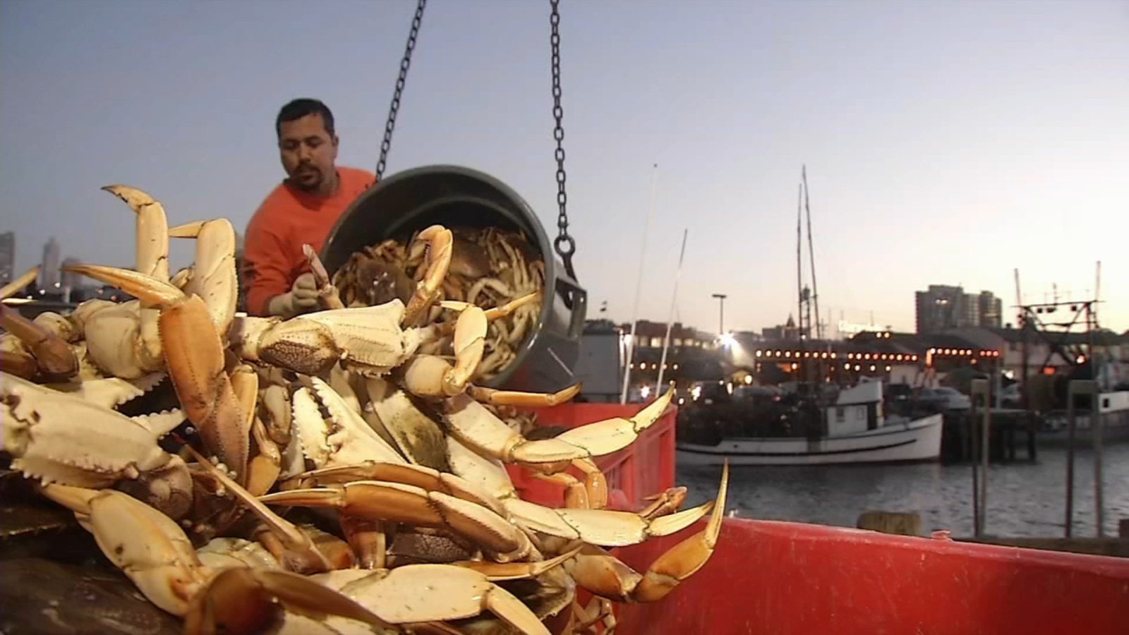 Commercial Dungeness crab season in California closes Monday to protect whales [Video]