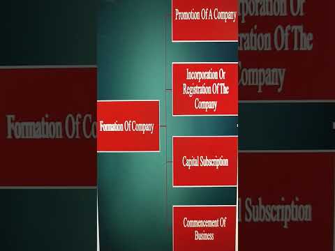 Formation of company [Video]