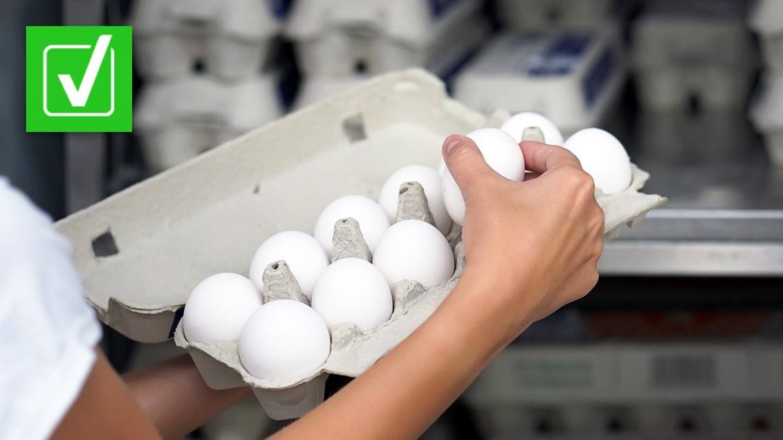 Bird flu outbreak: Eggs safe to consume [Video]