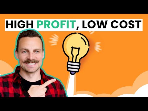10 High profit business ideas you can start for $100 [Video]