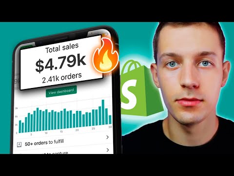 I EARNED $4.700 on DROPSHIPPING with NO SKILL – Make Money Online [Video]