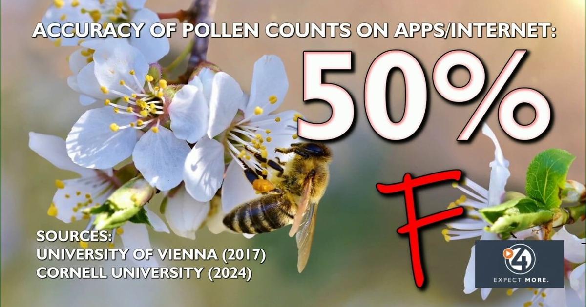 Spring pollen starting fast in the Inland Northwest | [Video]