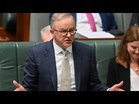 Anthony Albanese’s Future Made in Australia Act is a ‘bad idea’ [Video]