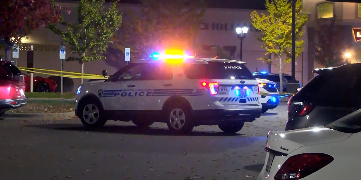CMPD: Violent down at start of 2024, overall crime up [Video]