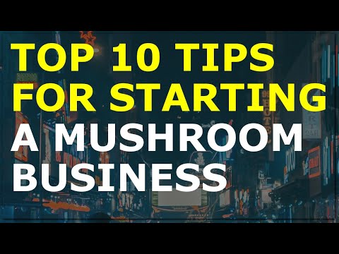 How to Start a Mushroom Business | Free Mushroom Business Plan Template Included [Video]