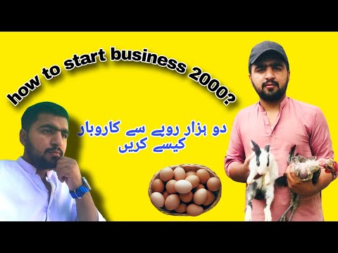 How Start business 2000 rupees😱| information vlogs| [Video]