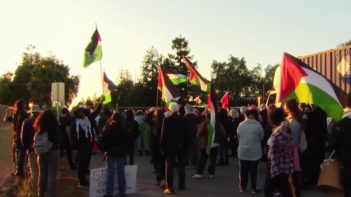 Pro-Palestinian demonstration outside Tesla factory in Fremont  NBC Bay Area [Video]