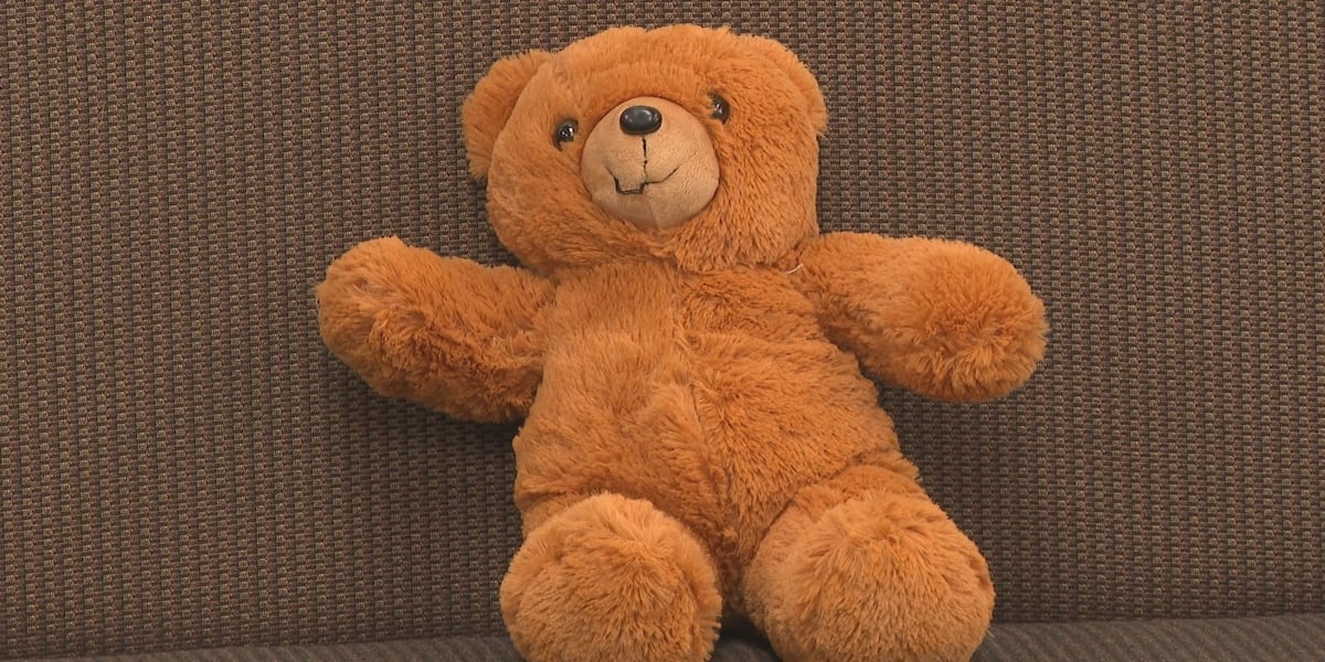 Monroe Chamber of Commerce prepares to launch Bear Hug program [Video]