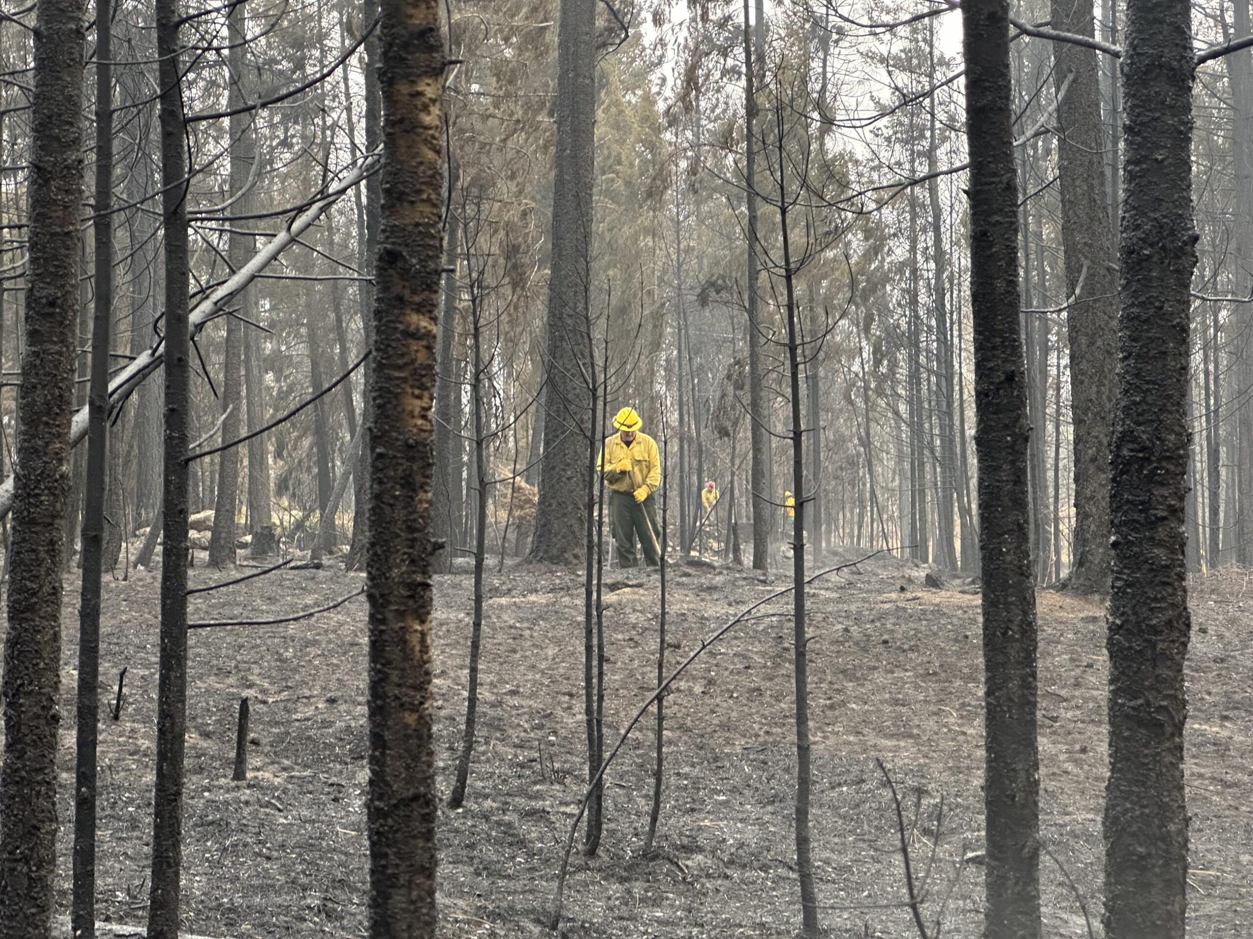 Deadline for Gray and Oregon Road wildfire survivor benefits approaching [Video]