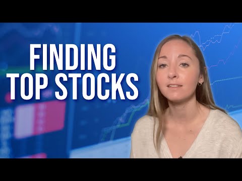Finding Top Stocks: Check The Ants List For Quality Stock Ideas [Video]