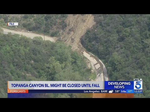 Local businesses impacted by prolonged Topanga Canyon road closure [Video]
