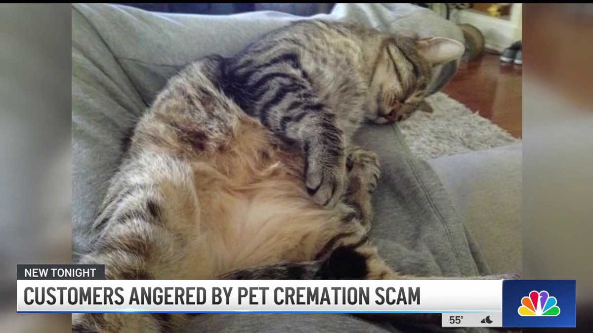 Customers brand pet cremation company as scam  NBC Los Angeles [Video]